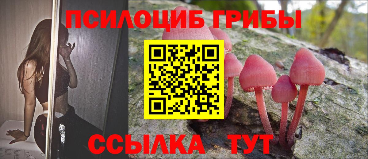 Галлюциногенные грибы ЛСД  Вход с VPN  Богородицк 